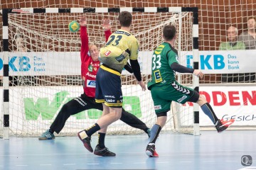 GWD Minden - Rhein-Neckar Löwen 23:33