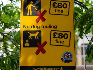 Belfast-20220814_123837-SA108194