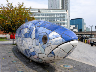 Belfast-20220814_124856-SA108202