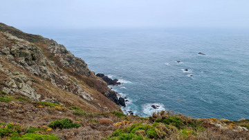 2613_Guernsey_20220817_125512