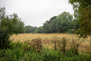 2628_Guernsey_SA108631