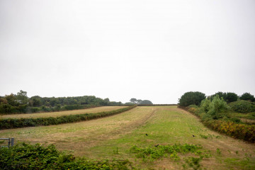 2631_Guernsey_SA108640
