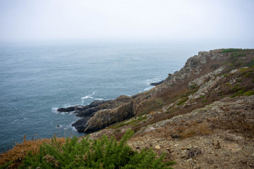 2633_Guernsey_SA108649