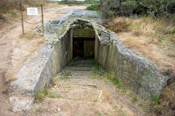 2638_Guernsey_SA108669