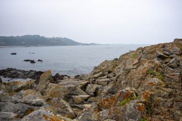 2646_Guernsey_SA108691