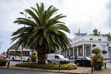 2677_Guernsey_SA108757