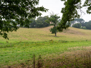 2626_Guernsey_SA108628