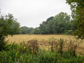 2628_Guernsey_SA108631