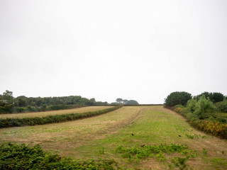 2631_Guernsey_SA108640