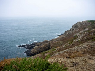 2633_Guernsey_SA108649