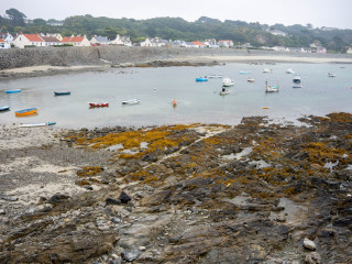 2649_Guernsey_SA108699