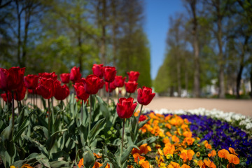Landpartie_SA105830