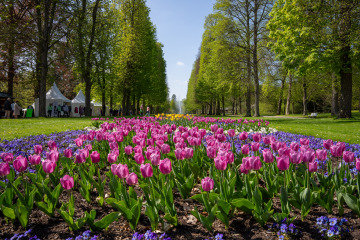 Landpartie_SA105837