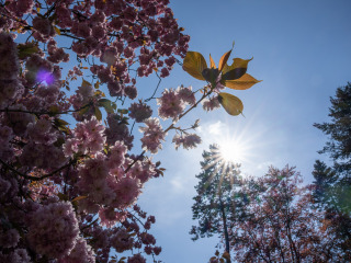 Landpartie_SA105871