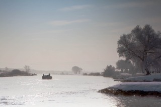 IMG_6368
