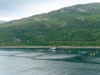 Tag 6, Tromsø