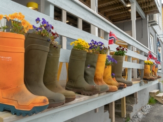 Tag 7, Honningsvåg und Nordkap