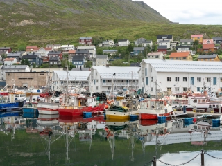 Tag 7, Honningsvåg und Nordkap