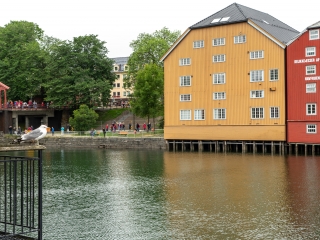 Tag 9, Trondheim