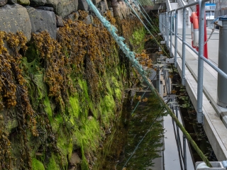 Tag 10, Ålesund