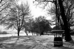 IMG_6468 SW