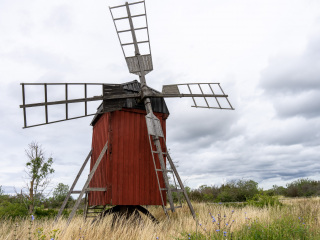 050_SA107162
