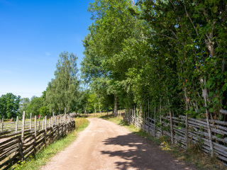 067_SA107208