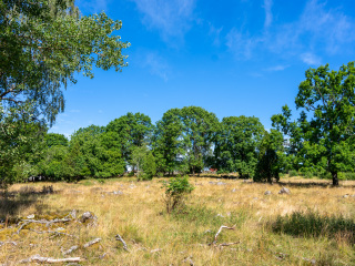 068_SA107209