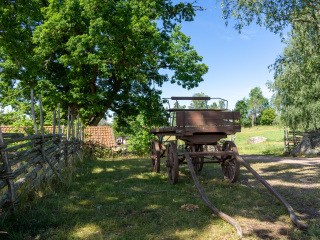 071_SA107216