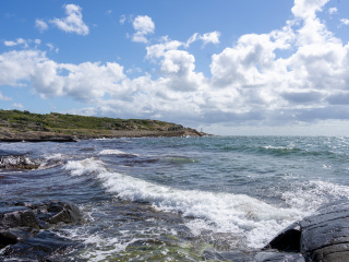 104_SA107339