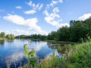 116_SA108992