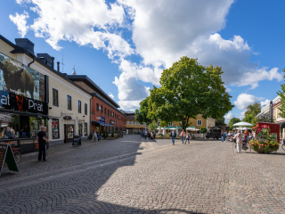 119_SA109010
