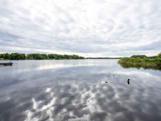 126_SA109044