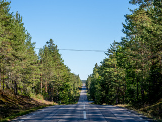 133_SA109065