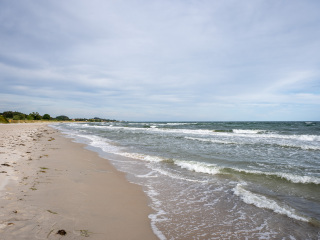 176_SA109308