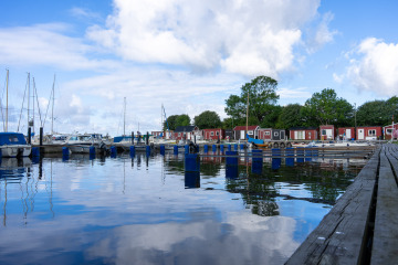 020_SA106956
