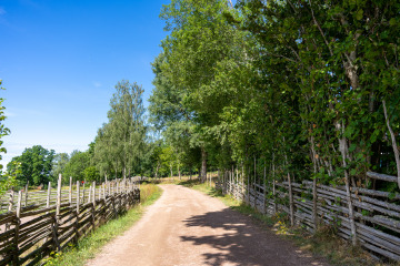 097_SA107208