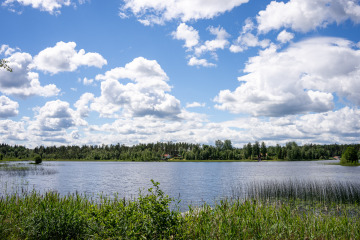115_SA107261