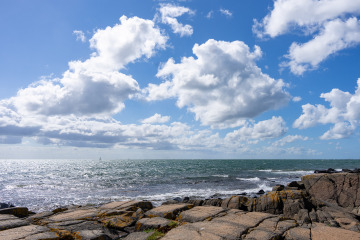 141_SA107355