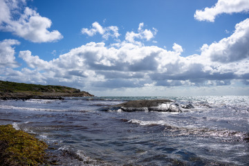 142_SA107359