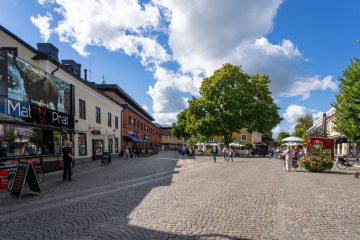 042_SA109010