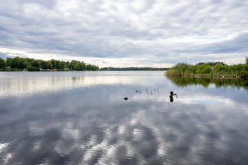 067_SA109048