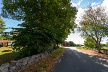 107_SA109134