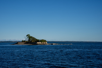 146_SA109209