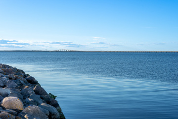 155_SA109244