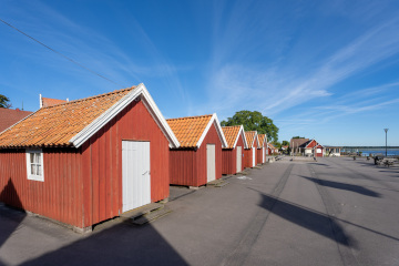 171_SA109272