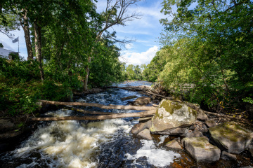185_SA109284