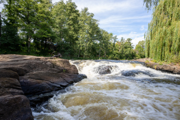186_SA109288