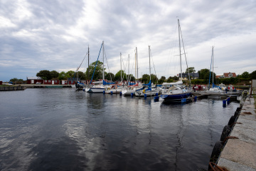 208_SA109333