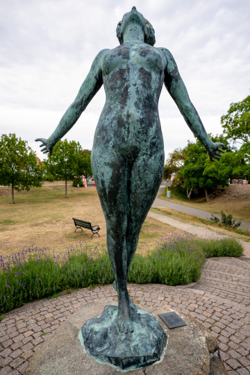 209_SA109339